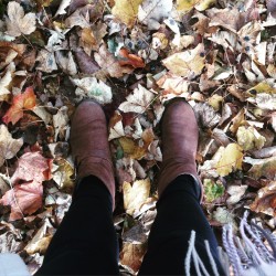 autumn boots